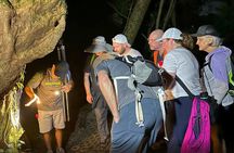 Mistico Rain Forest Night Walk Hanging Bridges