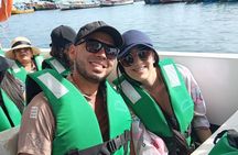 Enjoy, live and travel - Paracas and Huacachina from Lima.