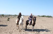 Horse Riding in Antalya,Belek,Lara Beach(Sunrise,Sunset,Day Time)