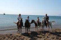 Horse Riding in Antalya,Belek,Lara Beach(Sunrise,Sunset,Day Time)