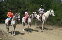 Horse Riding in Antalya,Belek,Lara Beach(Sunrise,Sunset,Day Time)