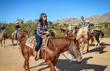 Horse Riding in Antalya,Belek,Lara Beach(Sunrise,Sunset,Day Time)