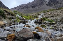5hrs of Trekking Experience in Martial Glacier