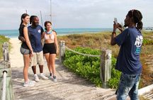 Turtle Tail & Turks Head Brewery UTV Adventure