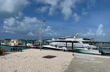 Famous East Island UTV Tour 