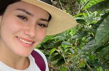 BILINGUE Touristic@ Private / PERSONALIZED@ Guide in the Coffee Axis