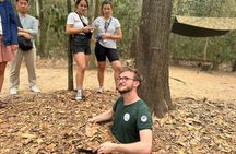 Unforgettable Day Tour: Cu Chi Tunnels & Mekong Delta Highlights