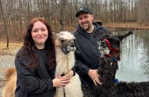 Hike & Lunch with Llamas