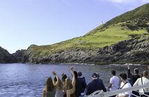 The Original Full day Bay of Islands Cruise with Dolphins 