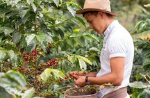 Coffee, Wine and Tea Da Lat's Agricultural Treasures Tour