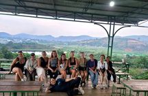 Coffee, Wine and Tea Da Lat's Agricultural Treasures Tour