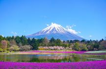 From Tokyo Mt. Fuji and Hakone Sightseeing Private Day Trip 
