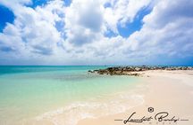 Half Day Private Tour in Aruba with Guide