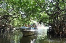 All-Inclusive Private tour in Sri Lankan Island 9 Day HB hotels