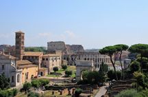 Colosseum Arena Floor, Roman Forum & Palatine Hill