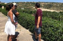 Wine and Food of Crete, Heraklion