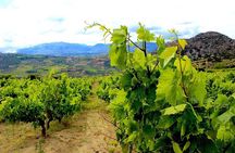 Wine and Food of Crete, Heraklion