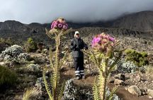 Kilimanjaro Climb by Machame Route 6 days