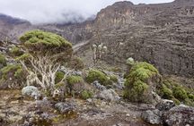 Kilimanjaro Climb by Machame Route 6 days