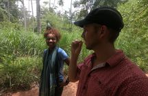 Spice Farm Bike Tour Pedal Through Aromatic Adventures