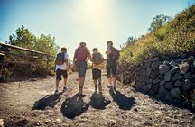Naples: Tour of Mt Vesuvius and Pompeii w/ Lunch & Wine tasting