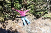Mount Shasta Guided Tour