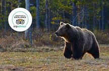 Banff Highlights & Wildlife | Award-Winning Small Group Adventure