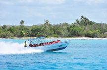Saona Island Day Trip From Punta Cana with Lunch and Open Bar