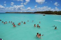 Saona Island Day Trip From Punta Cana with Lunch and Open Bar