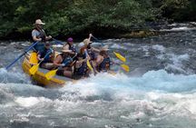 Whitewater Rafting on The McKenzie River