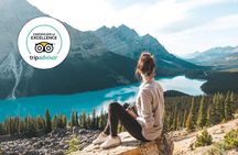 Icefields Parkway Small Group Tour with Peyto Lake and Lunch