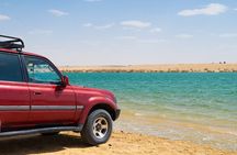 Fayoum Oasis Adventure 4WD Desert Safari with Traditional Lunch 