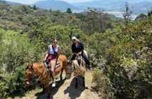 Horseback Riding in the Andes Mountains