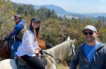 Horseback Riding in the Andes Mountains