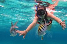 Major Tom -Sailing Day Cruise, with Snorkeling & Lunch