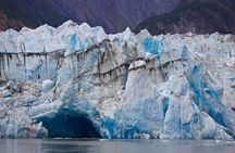 Tracy Arm Fjord and Glacier Explorer from Juneau