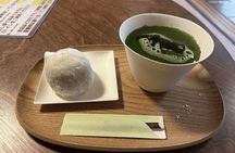 Full Day Walking Tour in Shinjuku and Shibuya