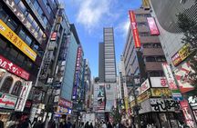 Full Day Walking Tour in Shinjuku and Shibuya