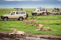 3 Day Private Serengeti National Park Tour from Zanzibar by Plane