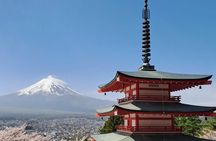 Private Car tour to Mt. Fuji/Hakone with English Driver/Guide