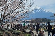 Private Car tour to Mt. Fuji/Hakone with English Driver/Guide