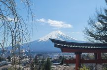Private Car tour to Mt. Fuji/Hakone with English Driver/Guide