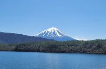 Private Car tour to Mt. Fuji/Hakone with English Driver/Guide