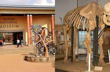 Day Tour to Nairobi Arboretum and Nairobi National Museum