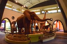 Tour Museum of illusions and Nairobi National Museum