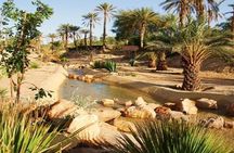 The Great Raid of Southern Tunisia: Twelve and Tozeur 03 Days