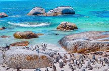 Cape of Good Hope Cape Point and Boulders Penguins Beach