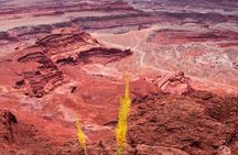 Day Tour Arches and Canyonlands National Park in Utah