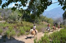 3 Hours Horse Back Riding Alanya