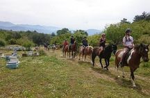 3 Hours Horse Back Riding Alanya